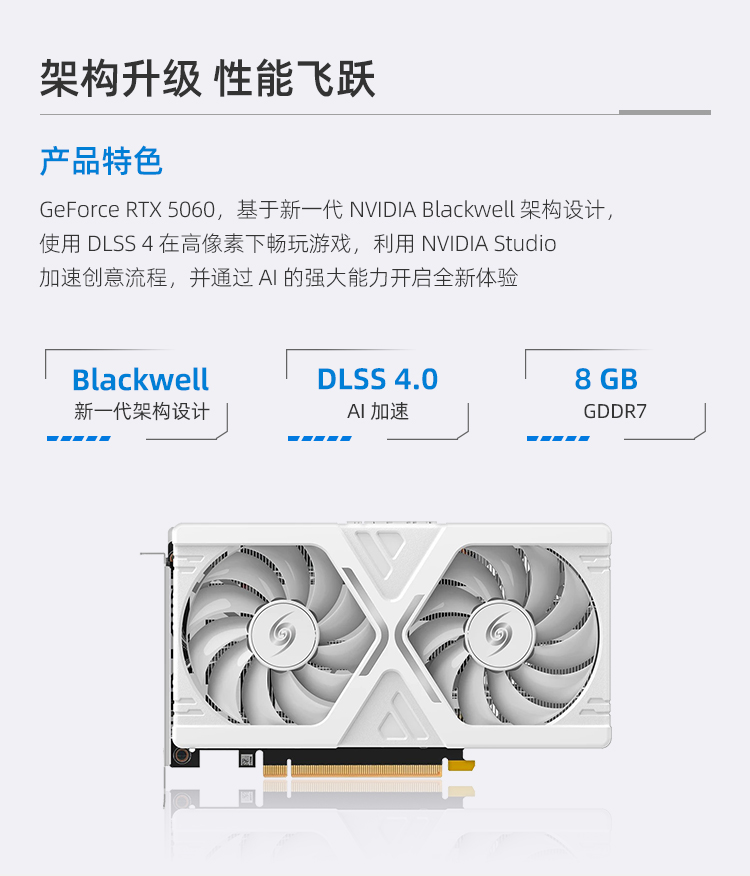 WinFast RTX 5060 8GB