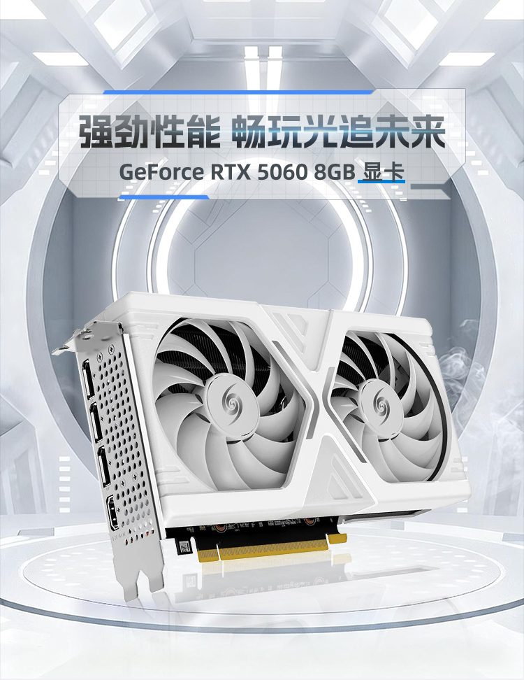 WinFast RTX 5060 8GB